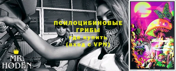 mdpv Бородино