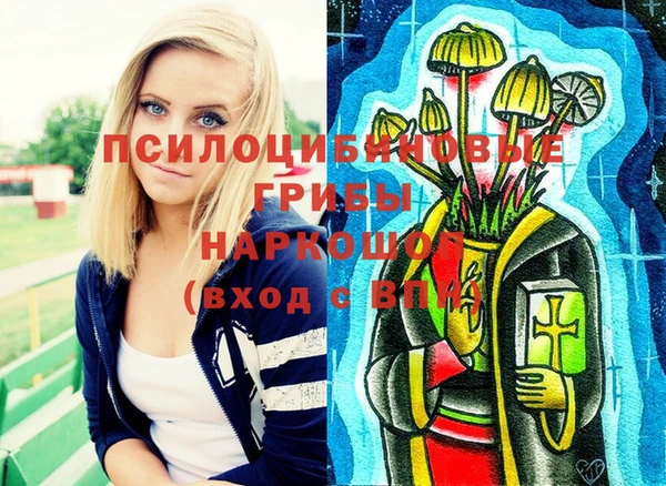 герыч Верхний Тагил