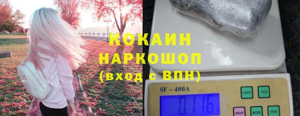 mdpv Бородино