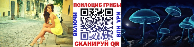 Псилоцибиновые грибы Magic Shrooms  продажа наркотиков  Мглин 